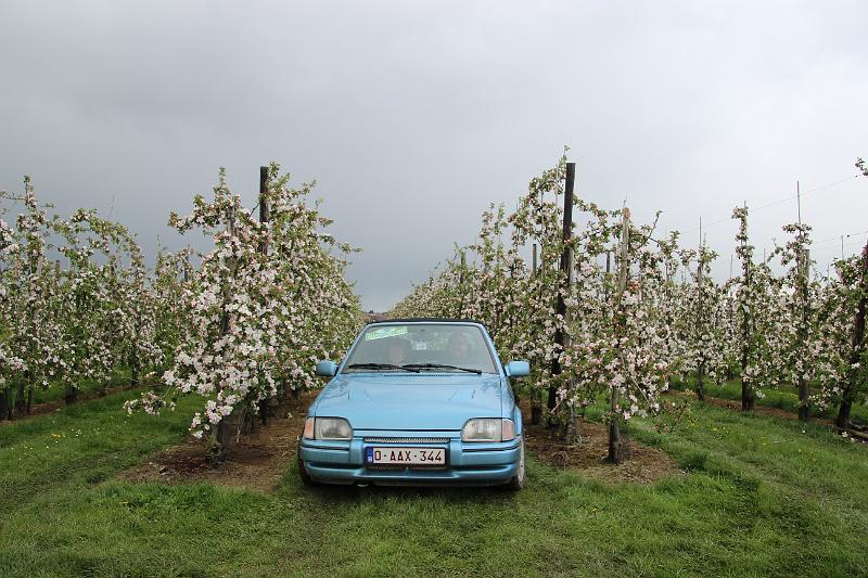 MG Bloesemrit op 24-4-2016 org. Jos&Marie-lou  (279).JPG